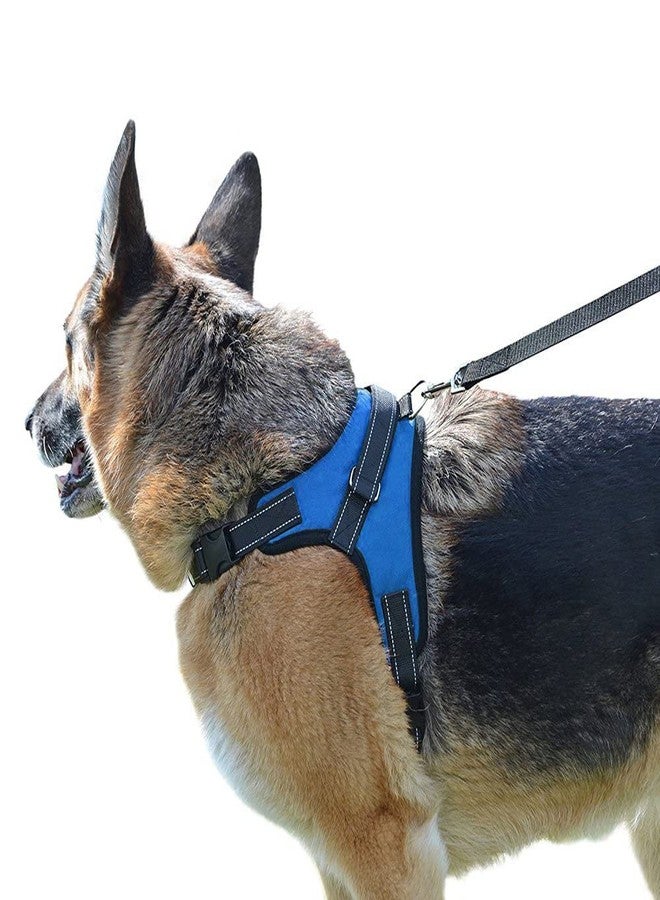 KittuPet Dog Harness, Adjustable Dog Body Belt for Large Small Medium Dogs and cat Rabbit All Breeds Animal (Medium, Blue) - Image 3